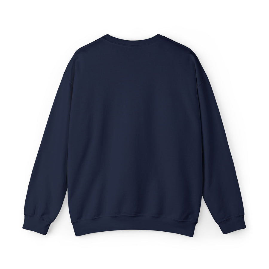 EMBROIDERED NAVY SWEATSHIRT