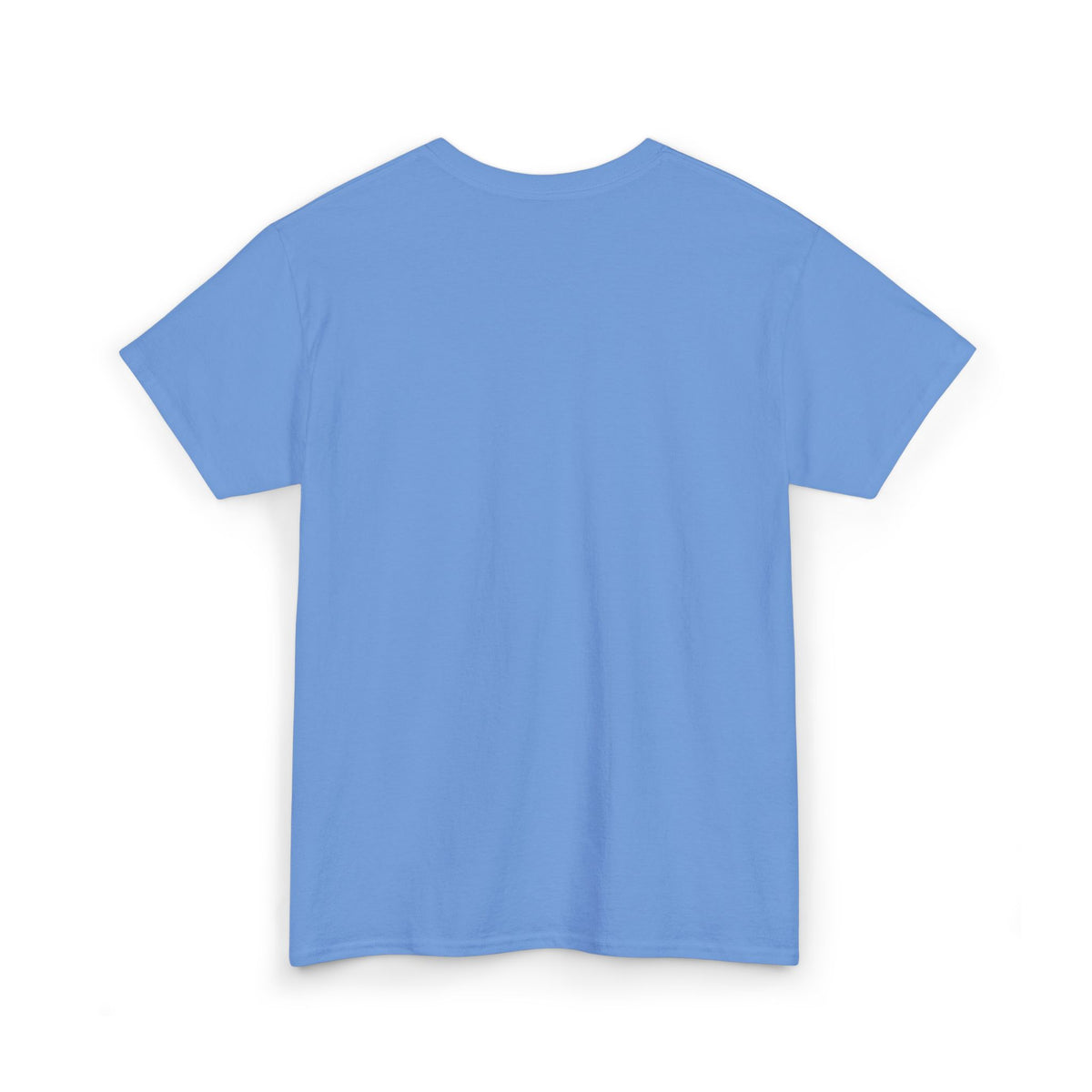 EMBROIDERED CAROLINA BLUE TSHIRT