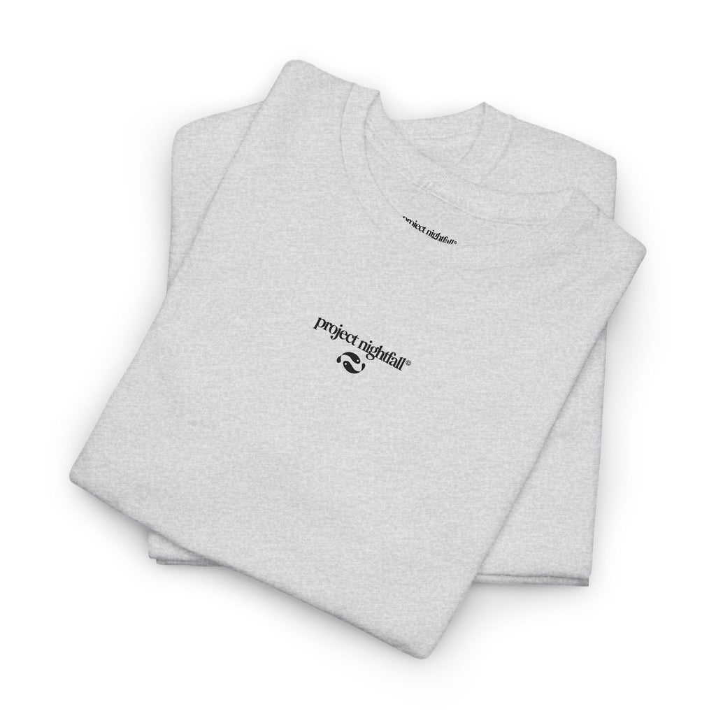 EMBROIDERED ASH TSHIRT