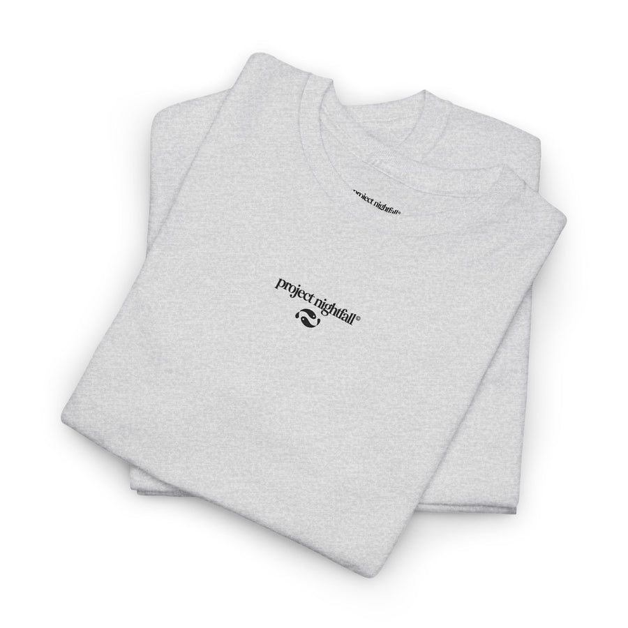 EMBROIDERED ASH TSHIRT