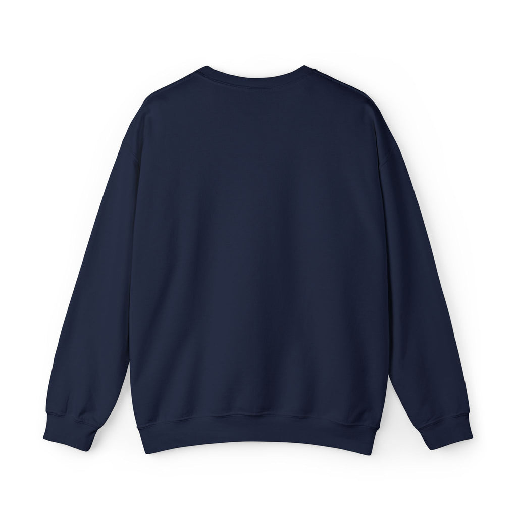 EMBROIDERED NAVY SWEATSHIRT